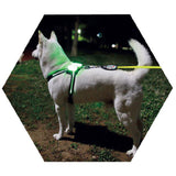 Led Pet Dog Luminous Collar Usb Rechargeable Silicone Collar Luminous Dog Neck Teddy Golden Retriever Large, Medium And Small Collar