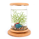 Small Office Glass Aquarium Bamboo Base Mini Fish Tank Decoration Fish Bowl