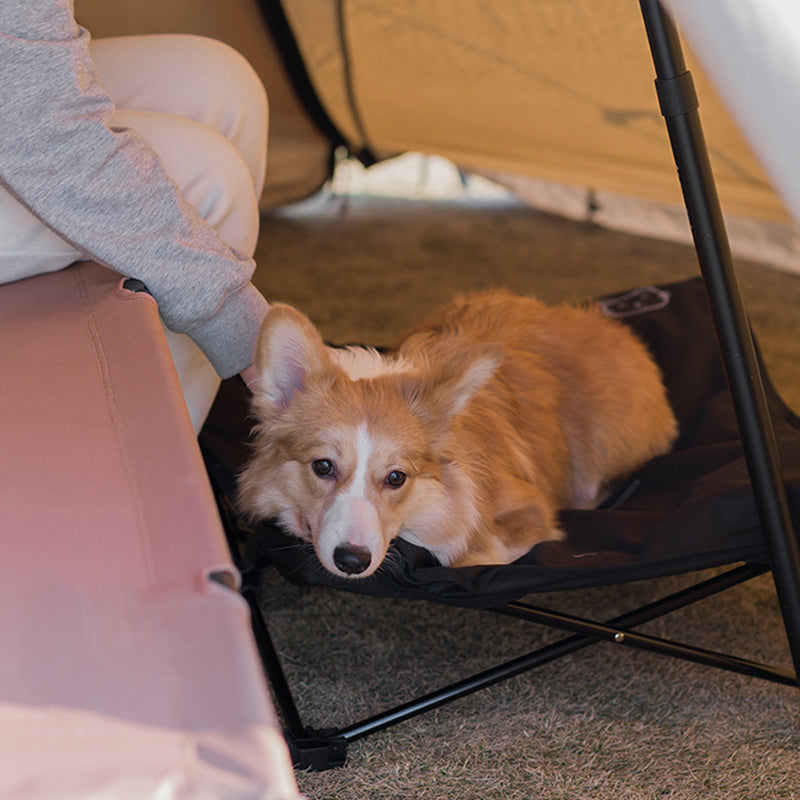 Outdoor detachable and washable pet folding bed