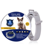 Cat ring dog ring flea and tick prevention child collar