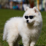 Doll Sunglasses Pet Toy Accessories